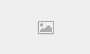 gallery/2026/zi/IMG_7829.JPG