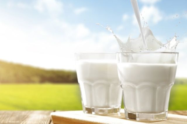 Peringatan Hari Susu Nasional 2025: Sehat Bersama, Tumbuh Bersama